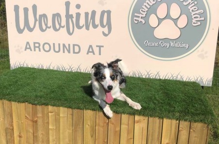 Photo Gallery